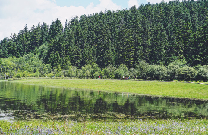 园艺